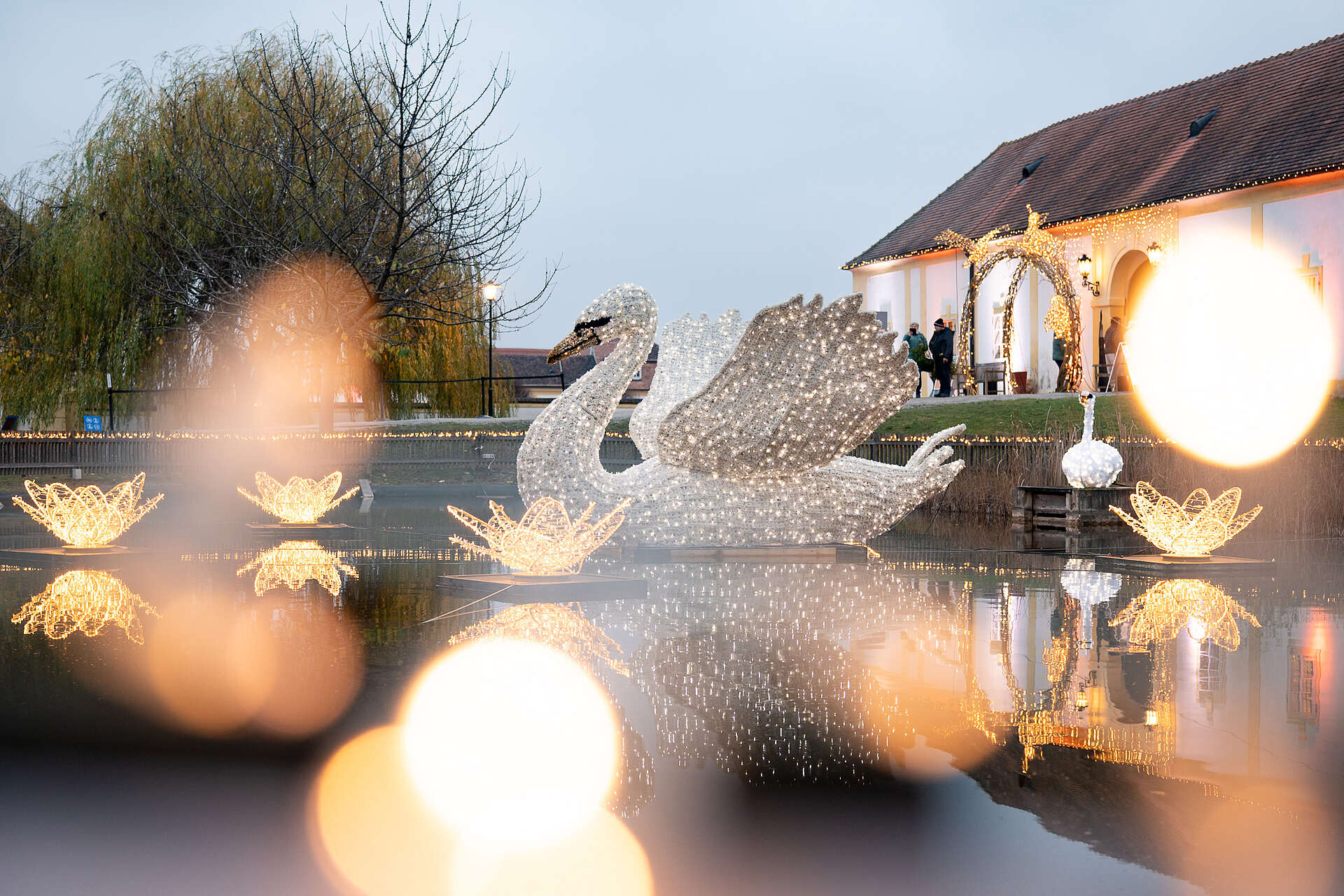 Blick auf leuchtenden Schwan auf kleinem Teich
